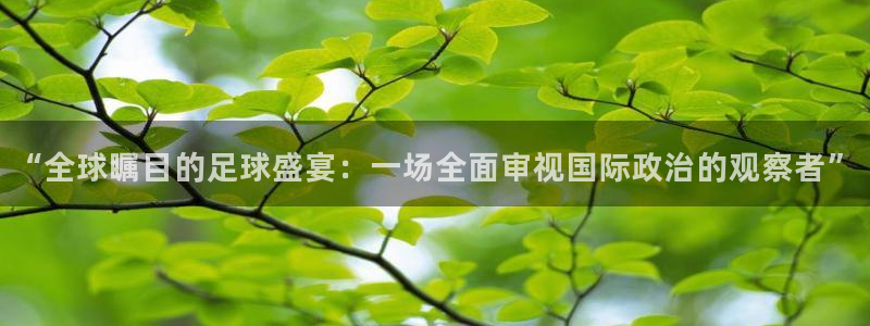 世界杯预选赛赛程:“全球瞩目的足球盛宴:一场全面审视国际政治的观察者”