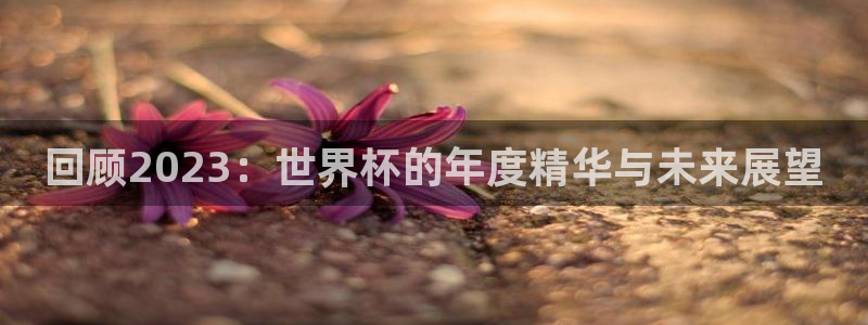 世界杯在线直播入口:回顾2023:世界杯的年度精华与未来展望