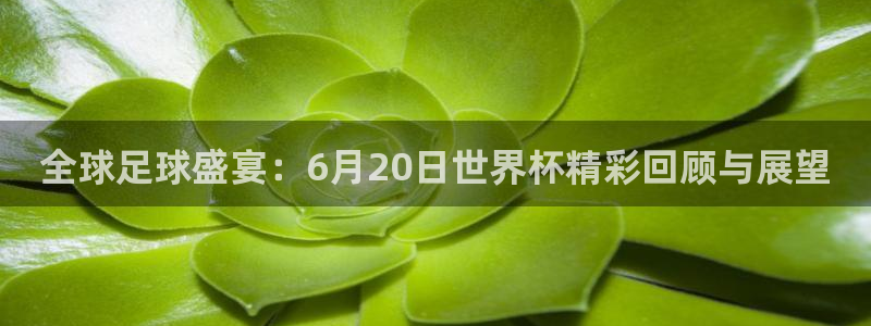 世界杯2026比赛时间表:全球足球盛宴:6月20日世界杯精彩回顾与展望