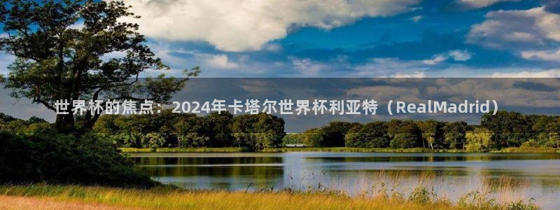 世界杯欧洲区预选赛:世界杯的焦点:2024年卡塔尔世界杯利亚特(RealMadrid)