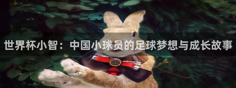 世界杯官网:世界杯小智:中国小球员的足球梦想与成长故事